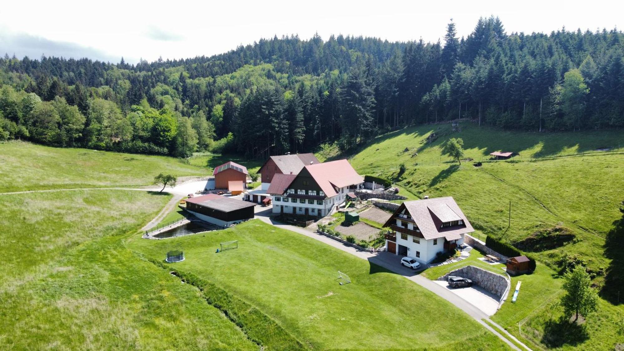 Ferienhof Benz Kappelrodeck Zewnętrze zdjęcie